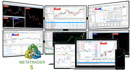 MT5 Web Trading